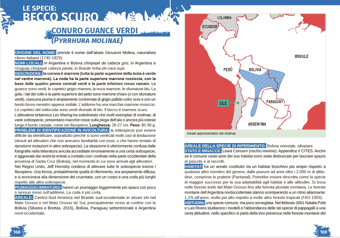 I Pyrrhura. Avicoltura, storia naturale, conservazione 3 pagina interna 2